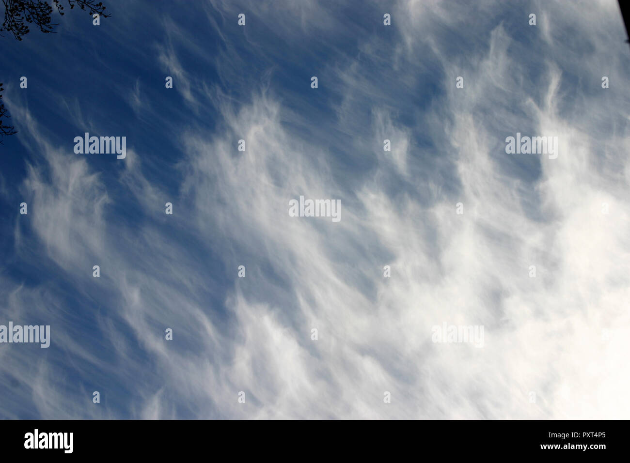A sky full of wispy cirrus clouds that are harbringers of rain Stock Photo