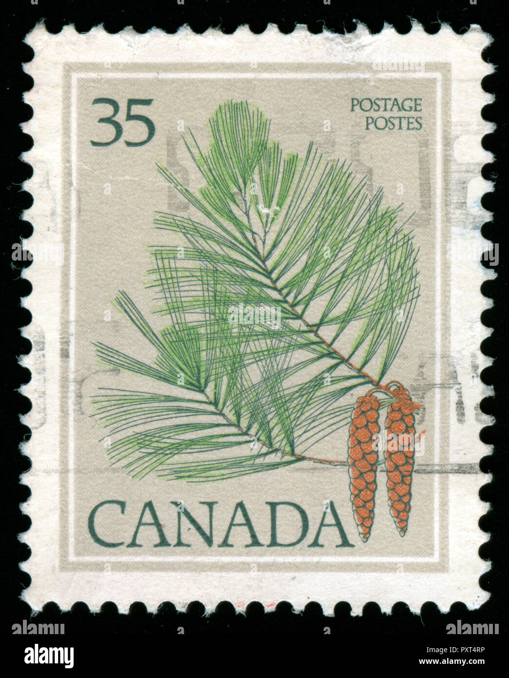 Postmarked stamp from Canada in the  Definitives 1977-79 (Leaves) Stock Photo