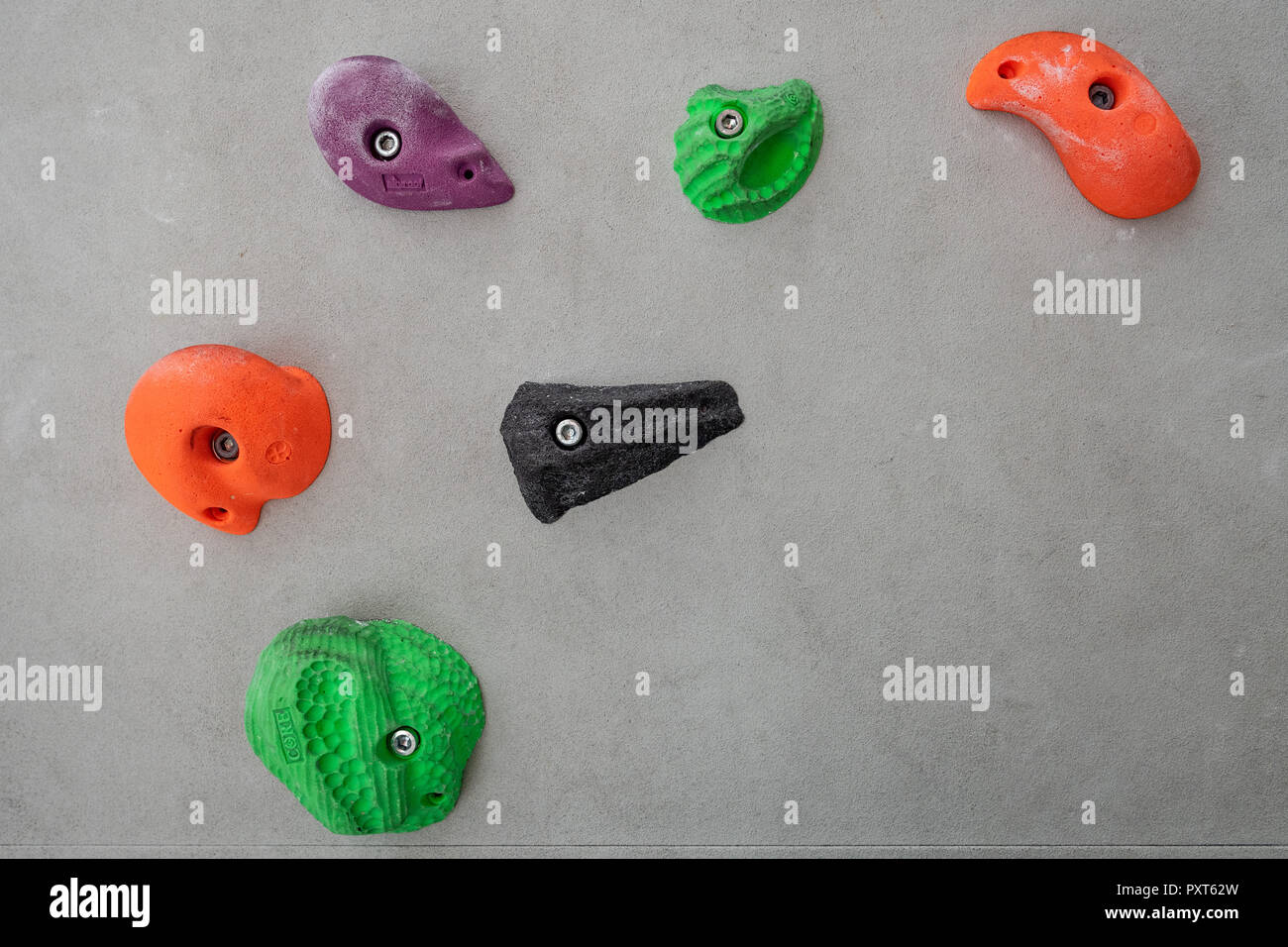 Coloured via ferrules or climbing grips on grey wall, Germany Stock Photo