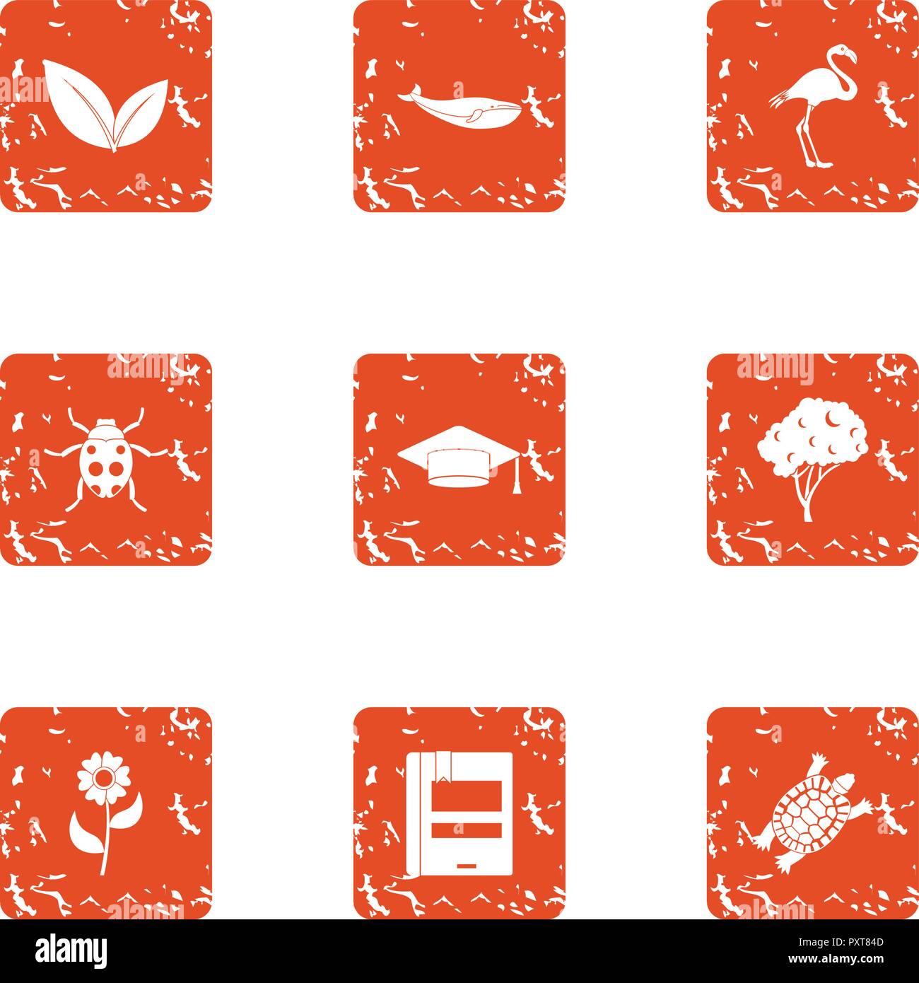 Zoological study Stock Vector Images - Alamy