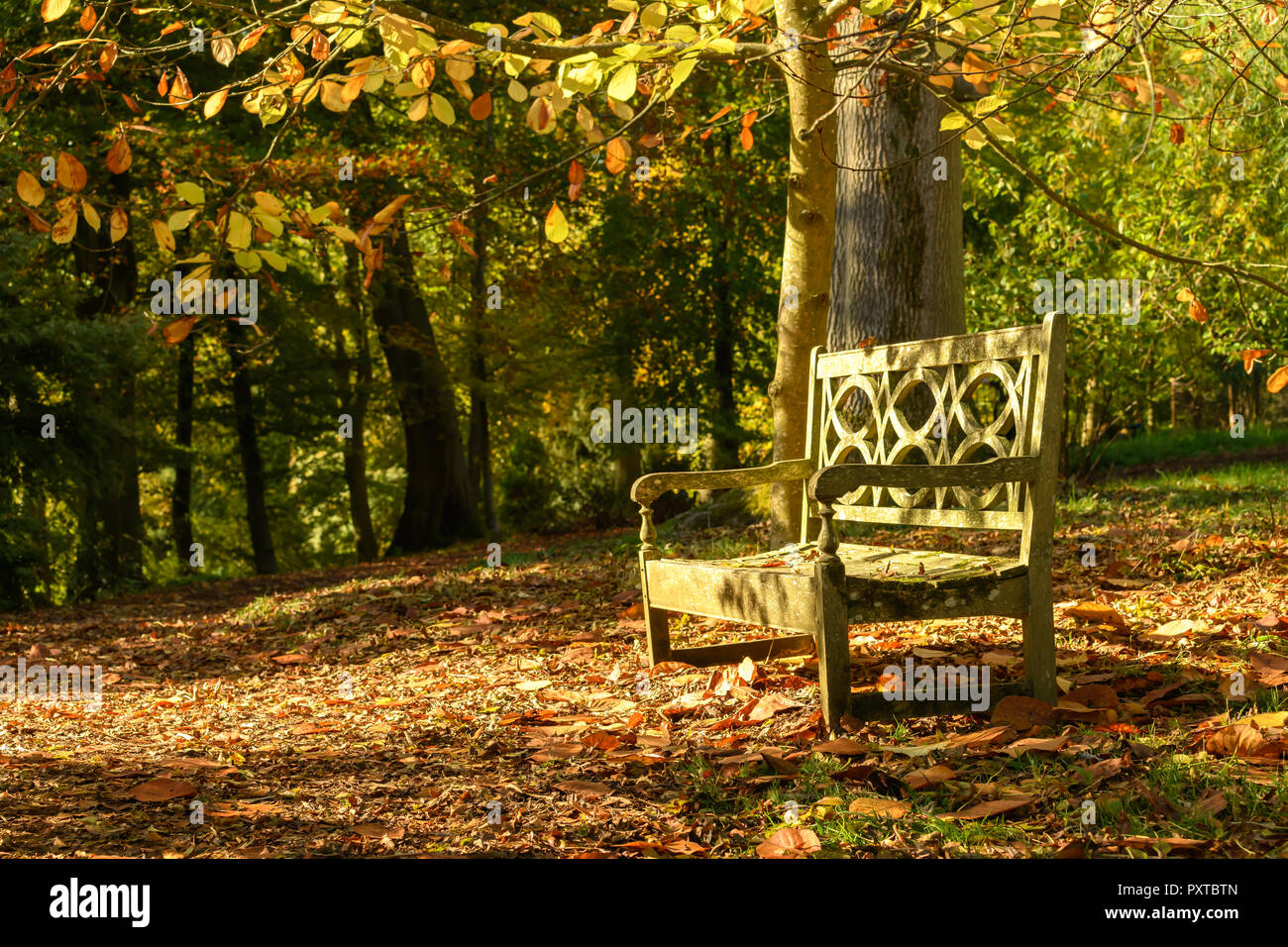Scenic colors hi-res stock photography and images - Alamy