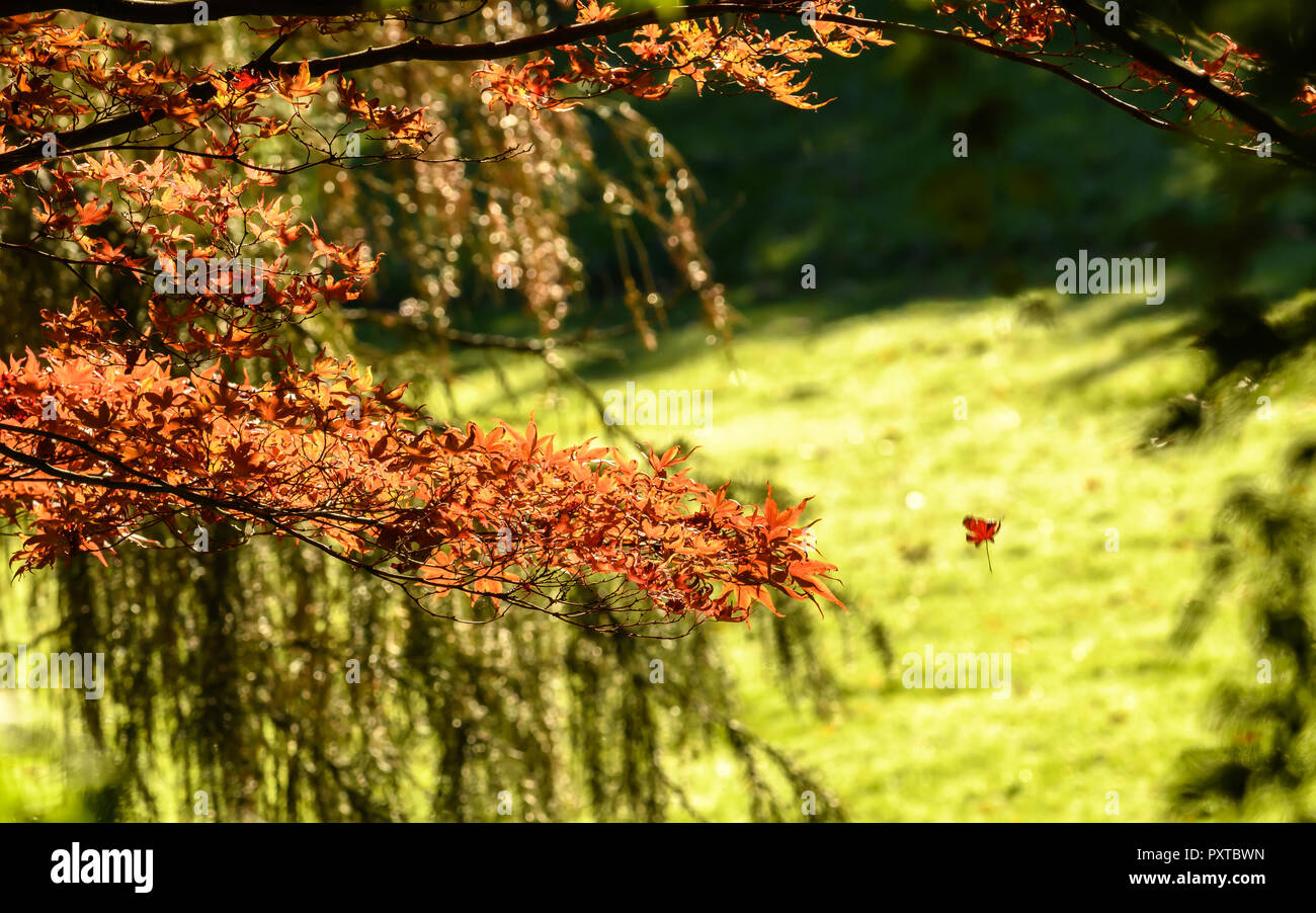 Colours environment hi-res stock photography and images - Alamy