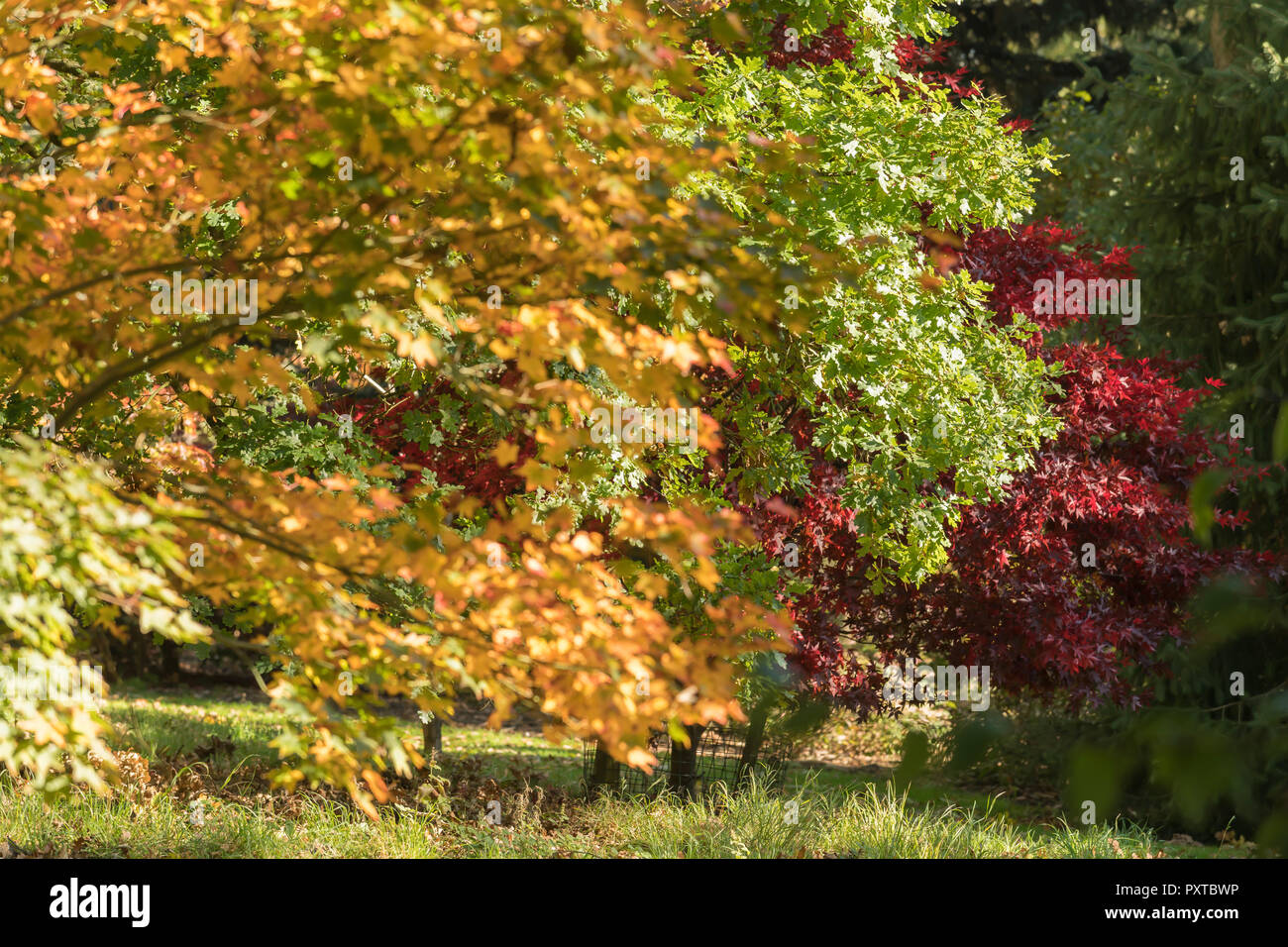 Colours environment hi-res stock photography and images - Alamy