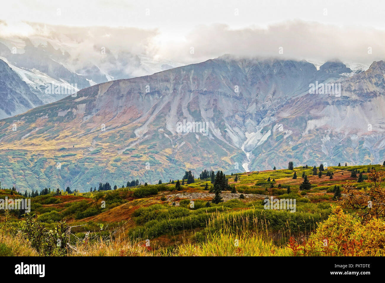 Colourful landscape in fall at Haines Highway, northern Yukon, Canada. Stock Photo
