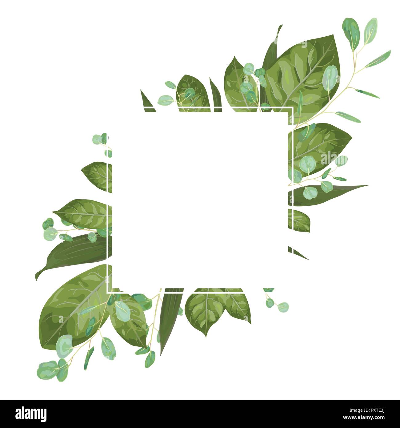 Wedding invite invitation card vector floral greenery design. Eucalyptus, lily leaves, waxflower natural, botanical green, decorative square. Postcard Stock Vector