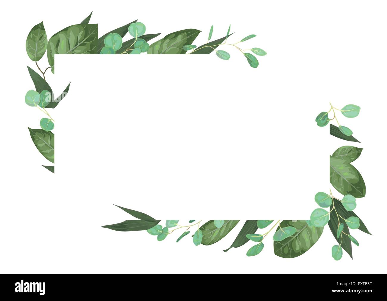 Vector card floral design with green watercolor, herbs, leaves eucalyptus, lily leaves, botanical green, decorative frame, horizontal rectangle. Cute  Stock Vector