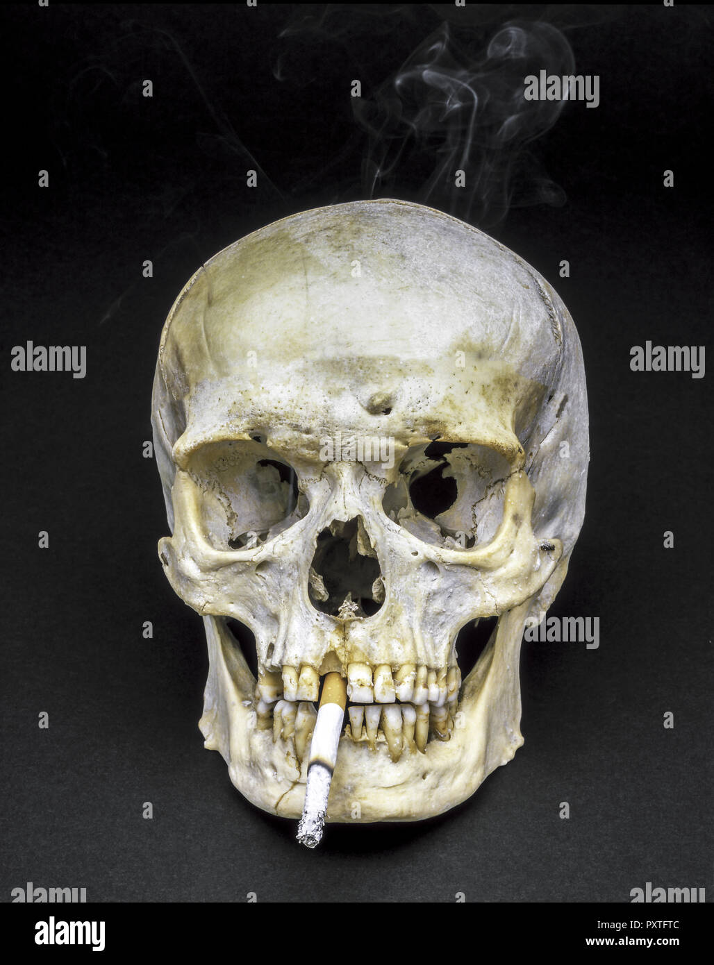 Totenschädel raucht eine Zigarette, Skull smoking a cigarette, Depending, Addiction, Danger, Endangered, Hazard, Hazardous, Health, Risks, Harmful, To Stock Photo
