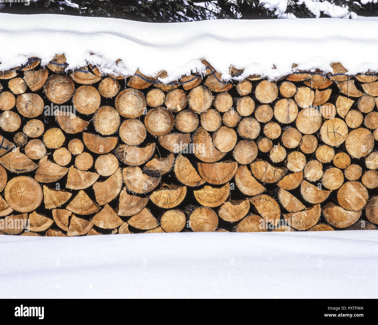 Aufgestapeltes Brennholz im Winter, stacked firewood in the winter
