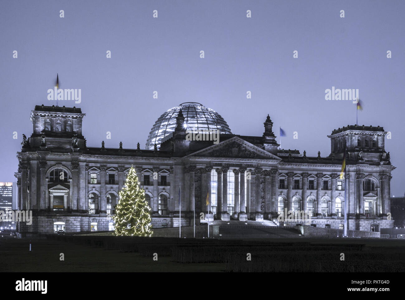 Weihnachtsbaum vor dem Reichstag, Berlin, Deutschland , Christmas tree