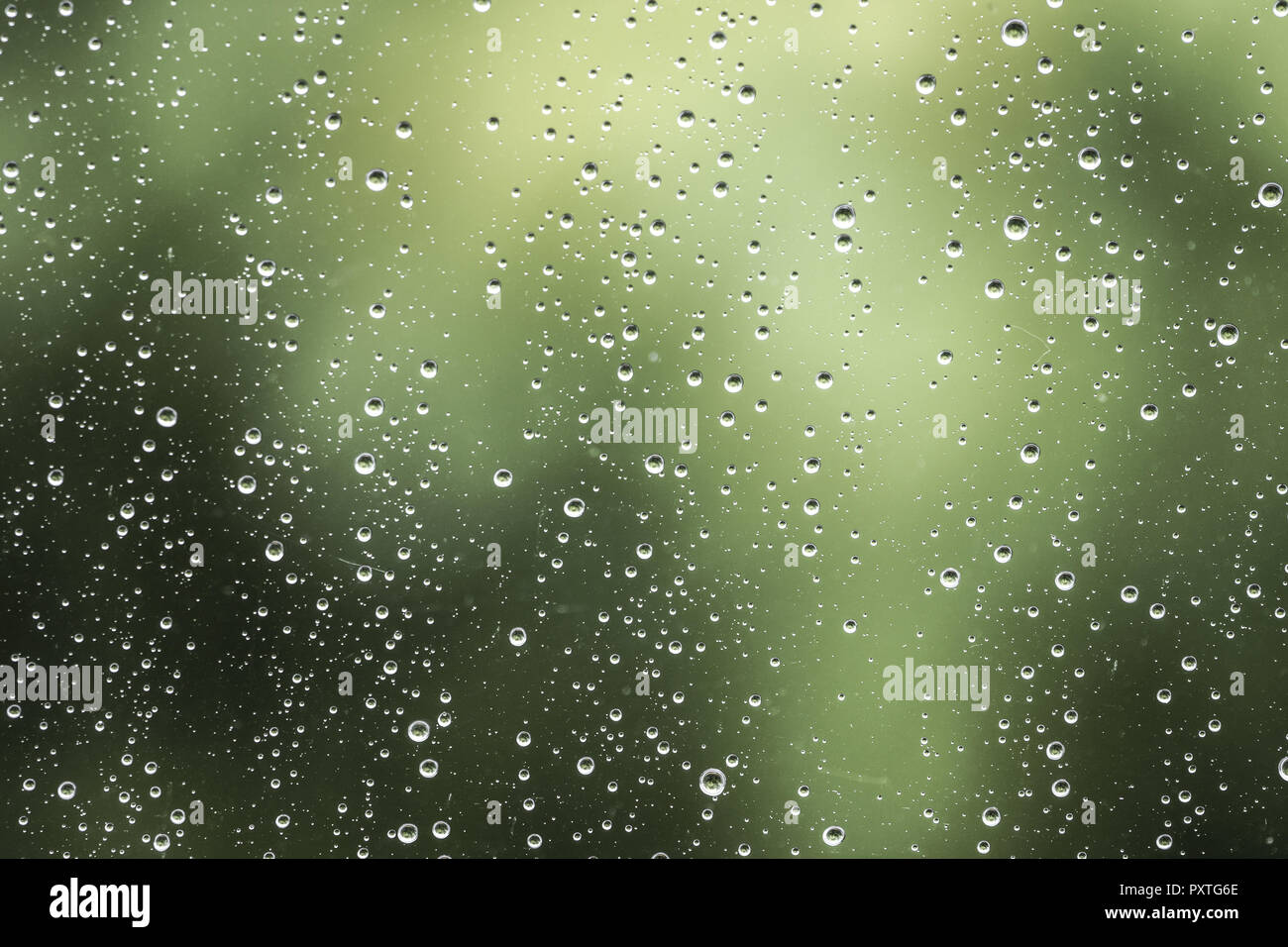 Regentag, Regentropfen an einer Fensterscheibe, Rainy day, raindrops on a window pane, abstract, background, behind, bright, bubble, clean, clear, clo Stock Photo