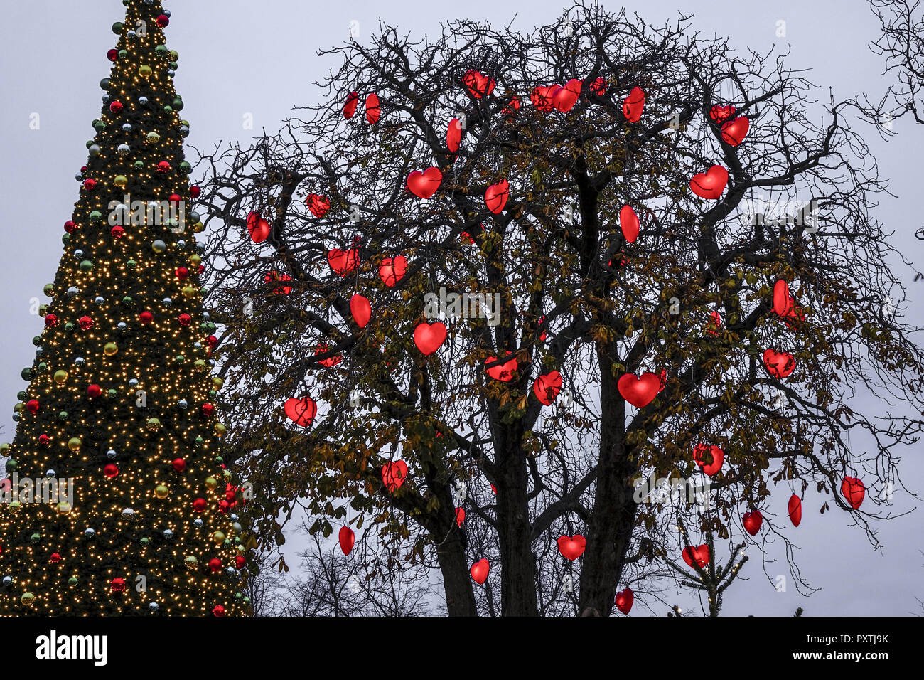 Baum mit rot leuchtenden Herzen, Weihnachtsdekoration, im Vergnügungspark Tivoli, Innenstadt, Kopenhagen, Region Hovedstaden, Dänemark, Europa, Tree w Stock Photo