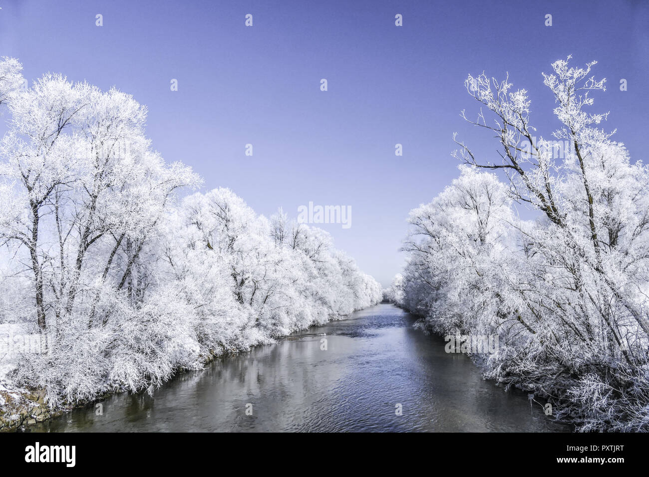 Raureif auf Bäumen an einem kalten Wintertag, Oberbayern, Bayern, Deutschland Stock Photo