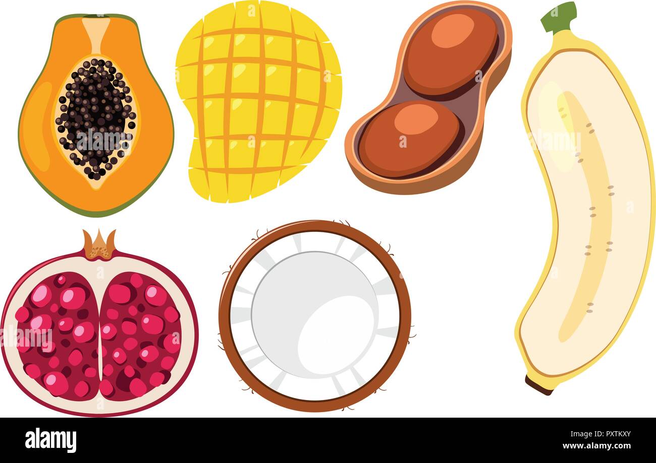 Different types of fruits cut in half illustration Stock Vector Image