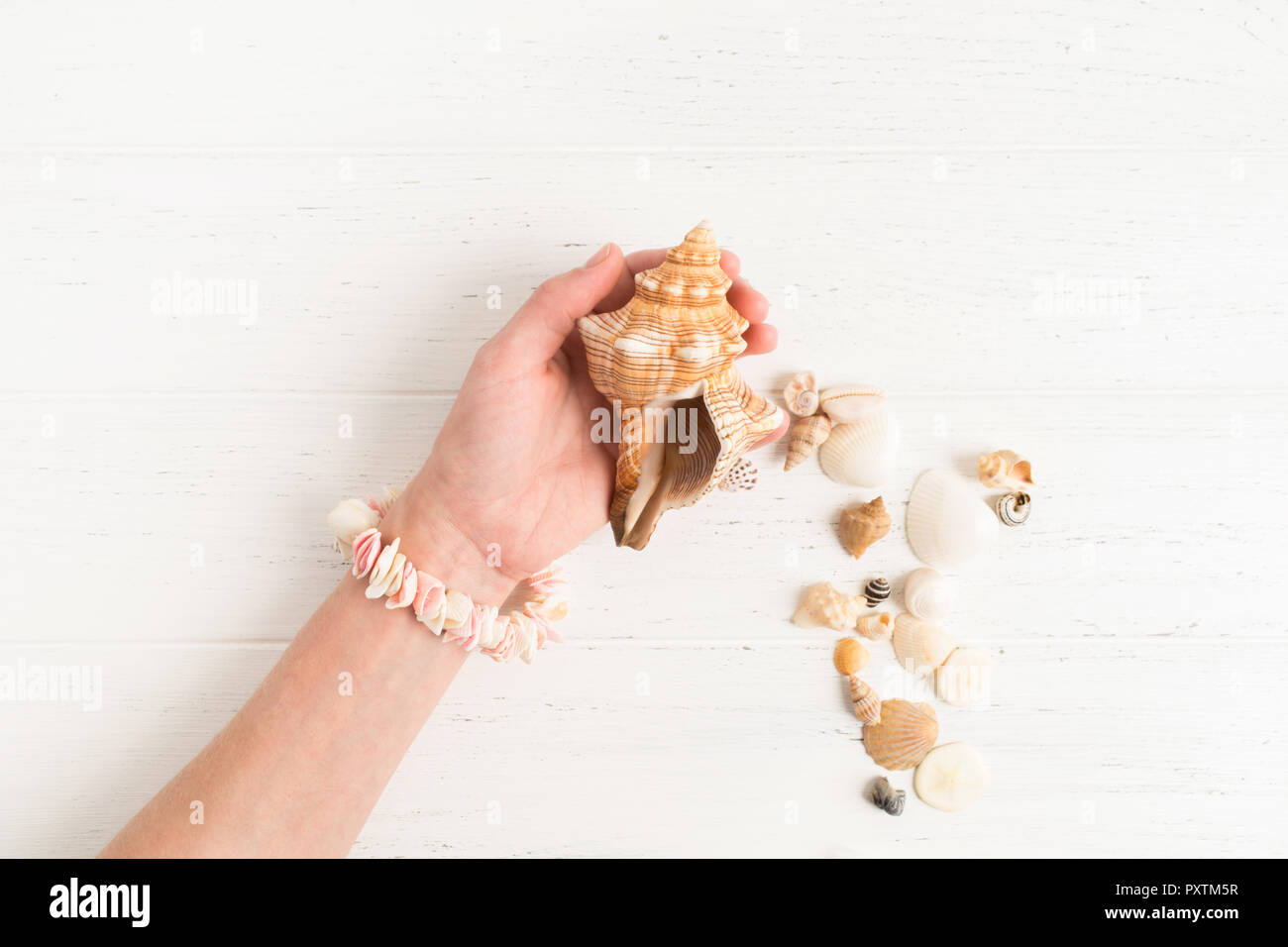 Female hand holds a big shell on the white wooden background with copy space; flat lay Stock Photo