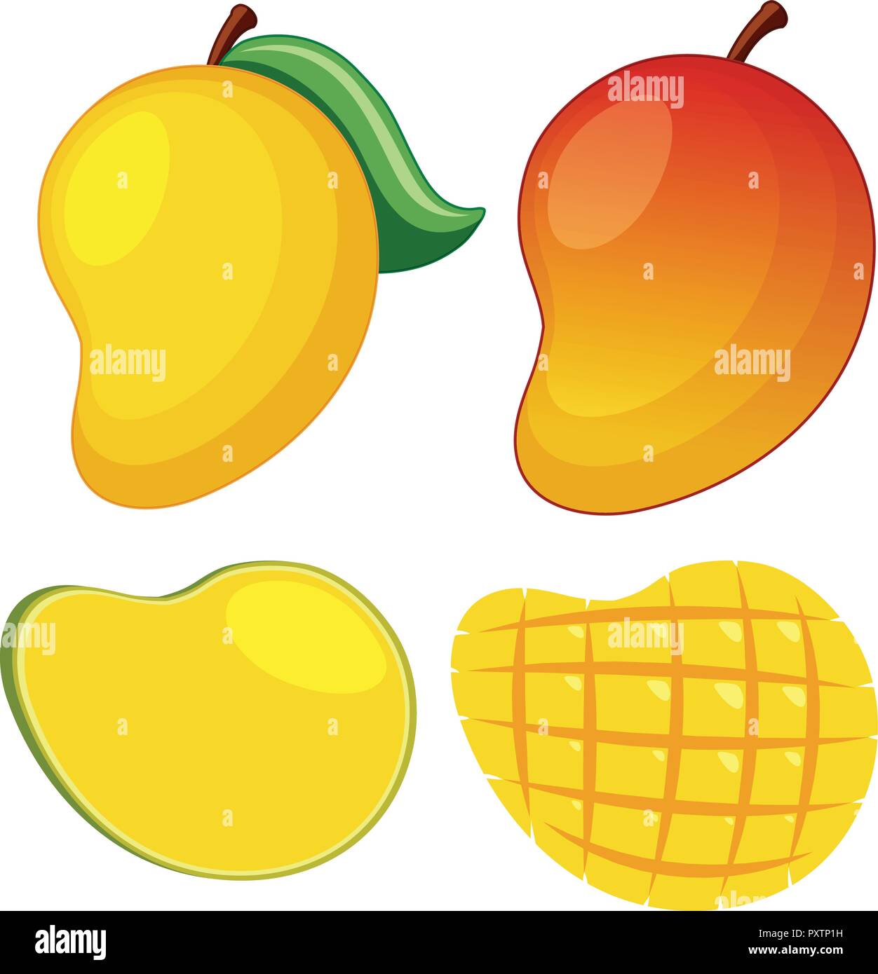 Fresh mango on white background illustration Stock Vector