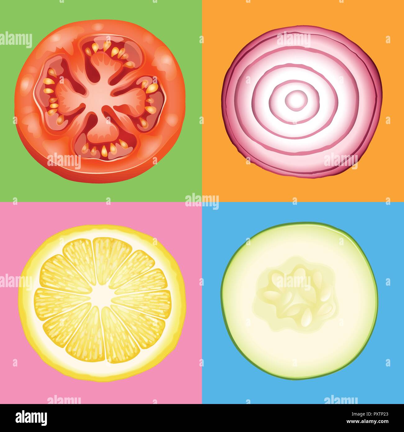 Four slices of different vegetables illustration Stock Vector Image