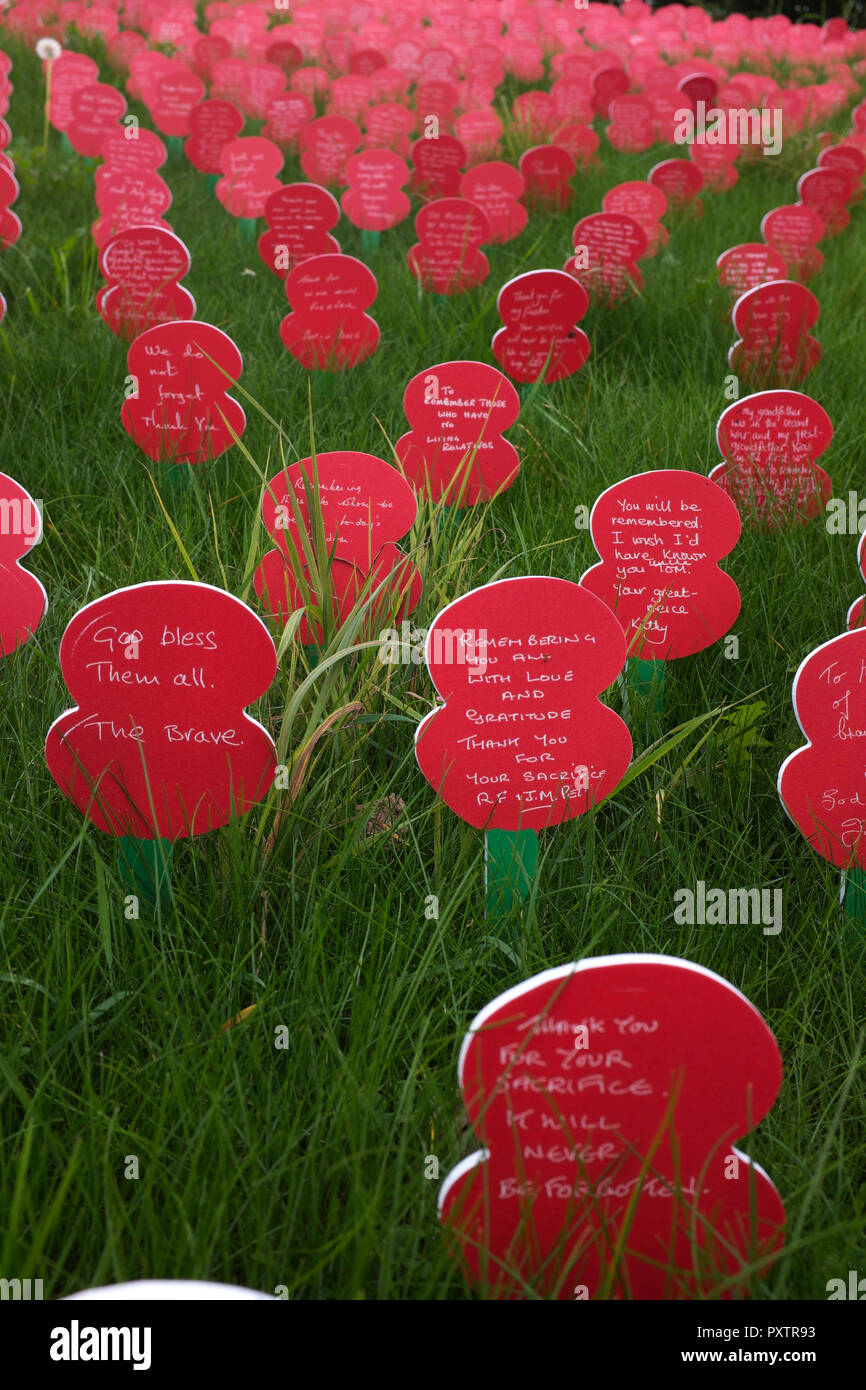 Poppy display tyne cot hires stock photography and images Alamy