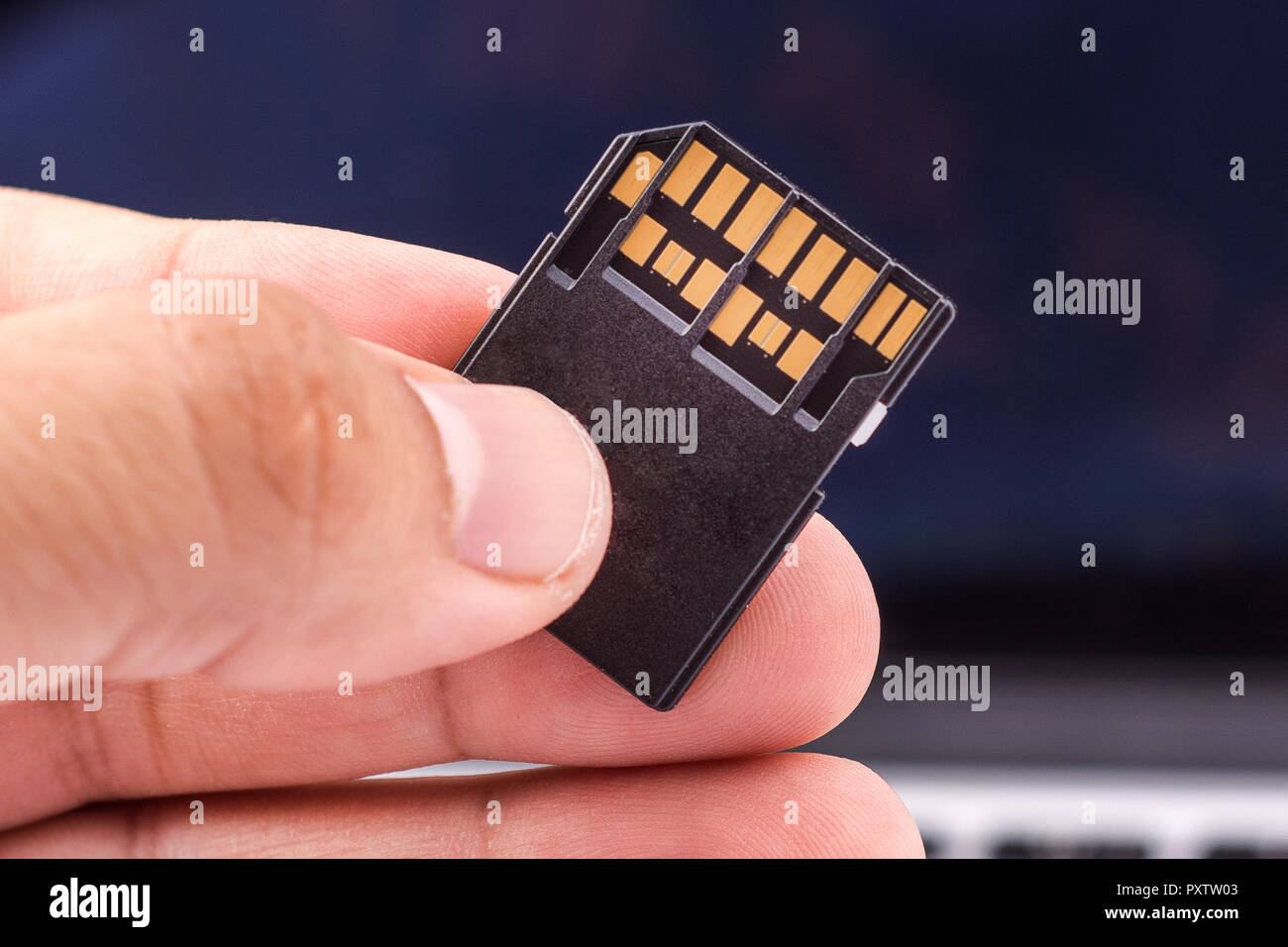 Fast SD memory card holding by fingers Stock Photo