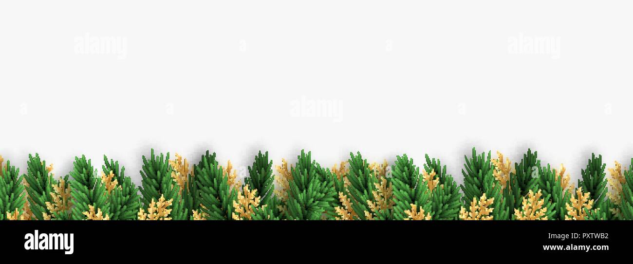 Christmas border green and golden pine branches. Isolated on white background. Stock Vector