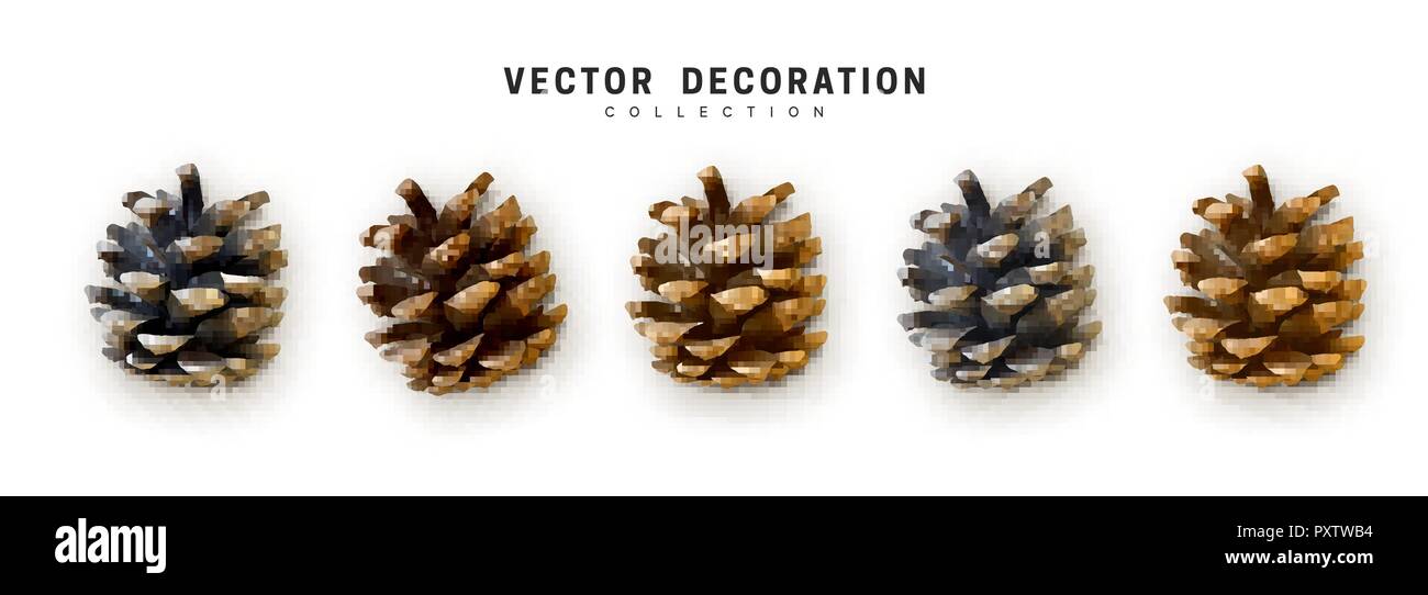Realistic pine cones set isolated on white background Stock Vector