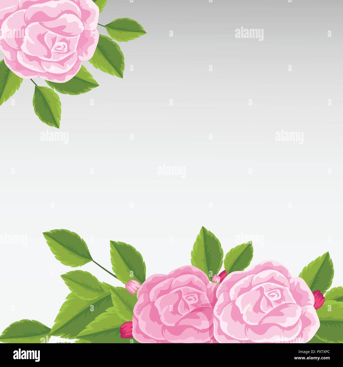 Background template with pink roses illustration Stock Vector Image ...