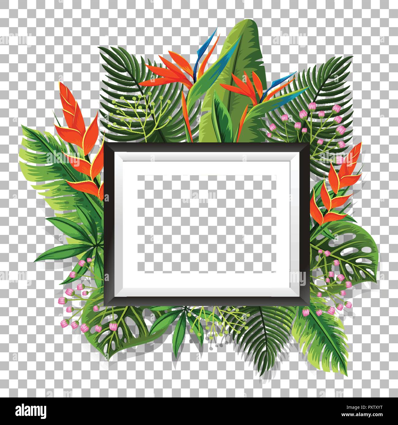 Picture frame with bird of paradise in background illustration Stock