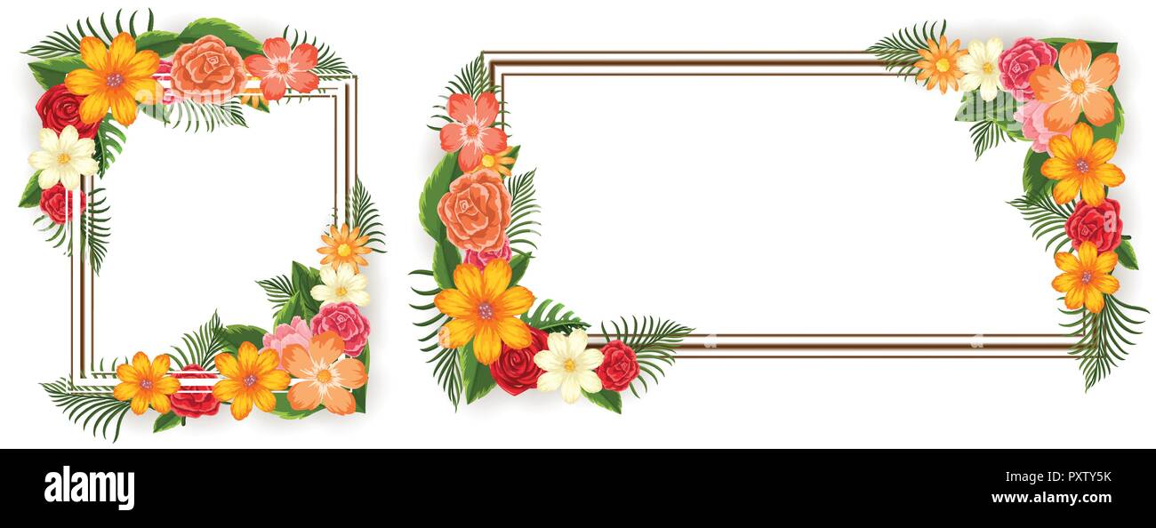 Two frames with colorful flowers illustration Stock Vector