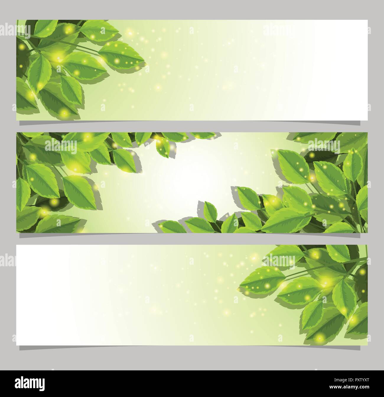 Banner templates with green leaves illustration Stock Vector Image ...
