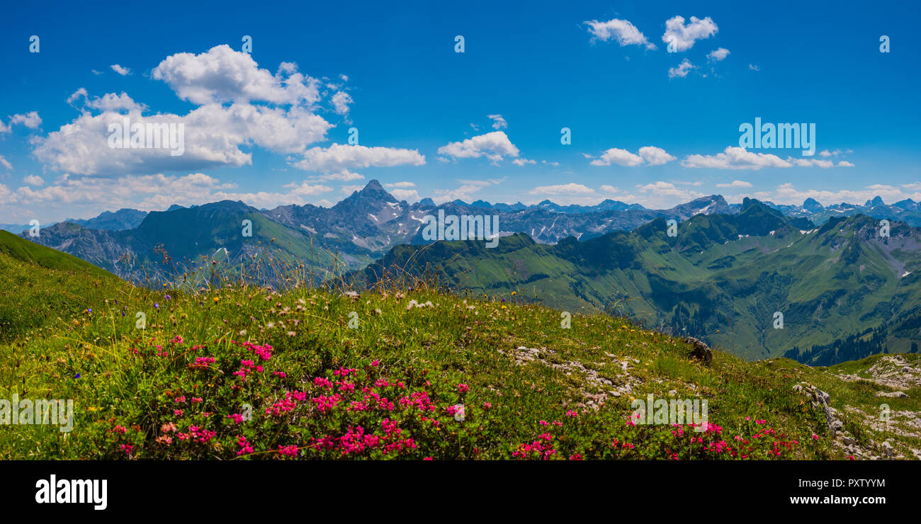 Germany, Bavaria, view from Koblat at Nebelhorn Mountain to Hochvogel Mountain Stock Photo