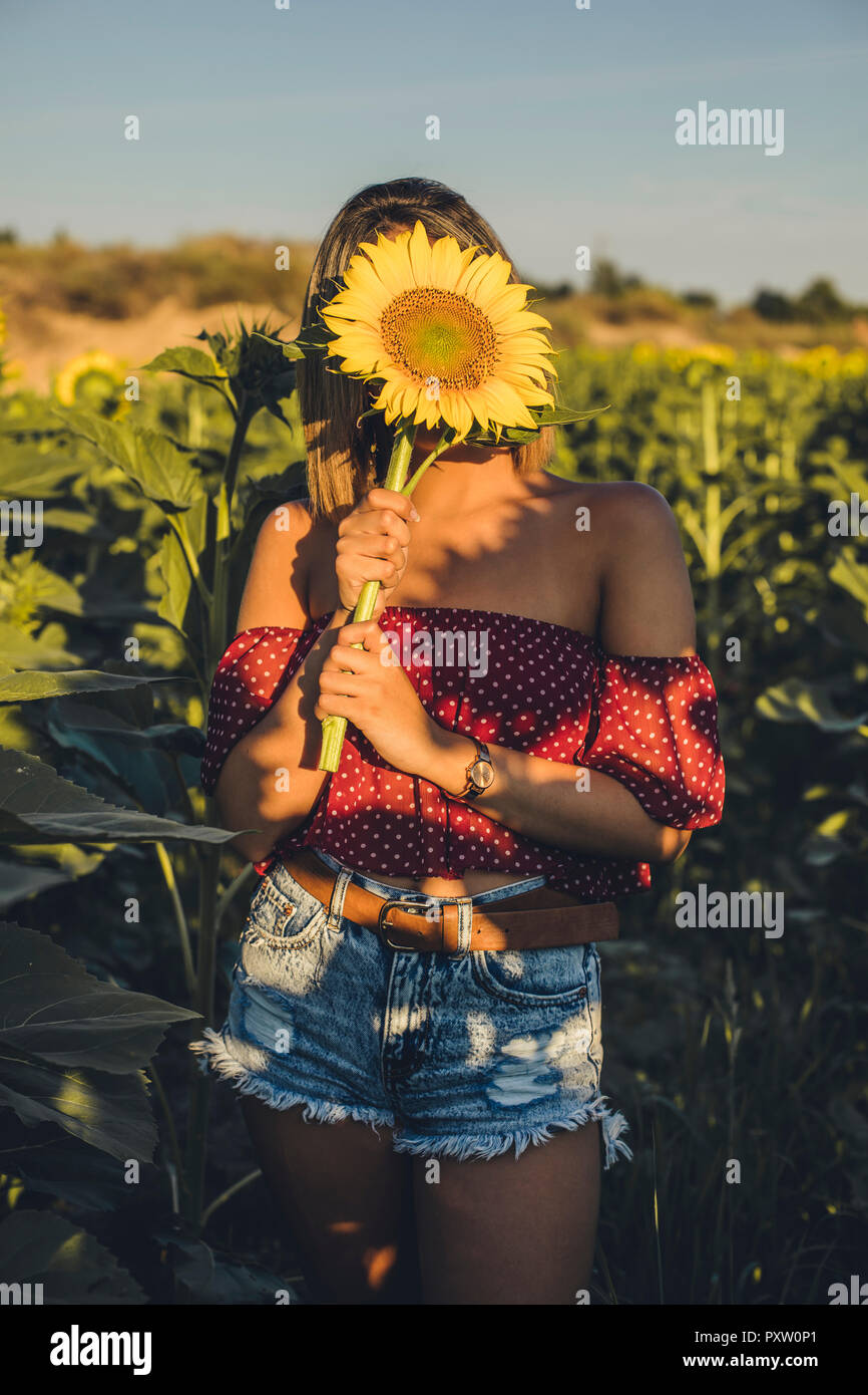 Young woman standing in a field holding a sunflower in front of her ...