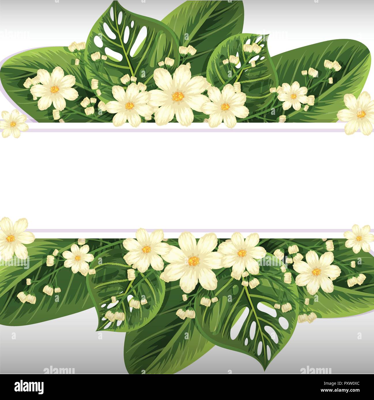 Banner design with white flowers and green leaves illustration Stock ...