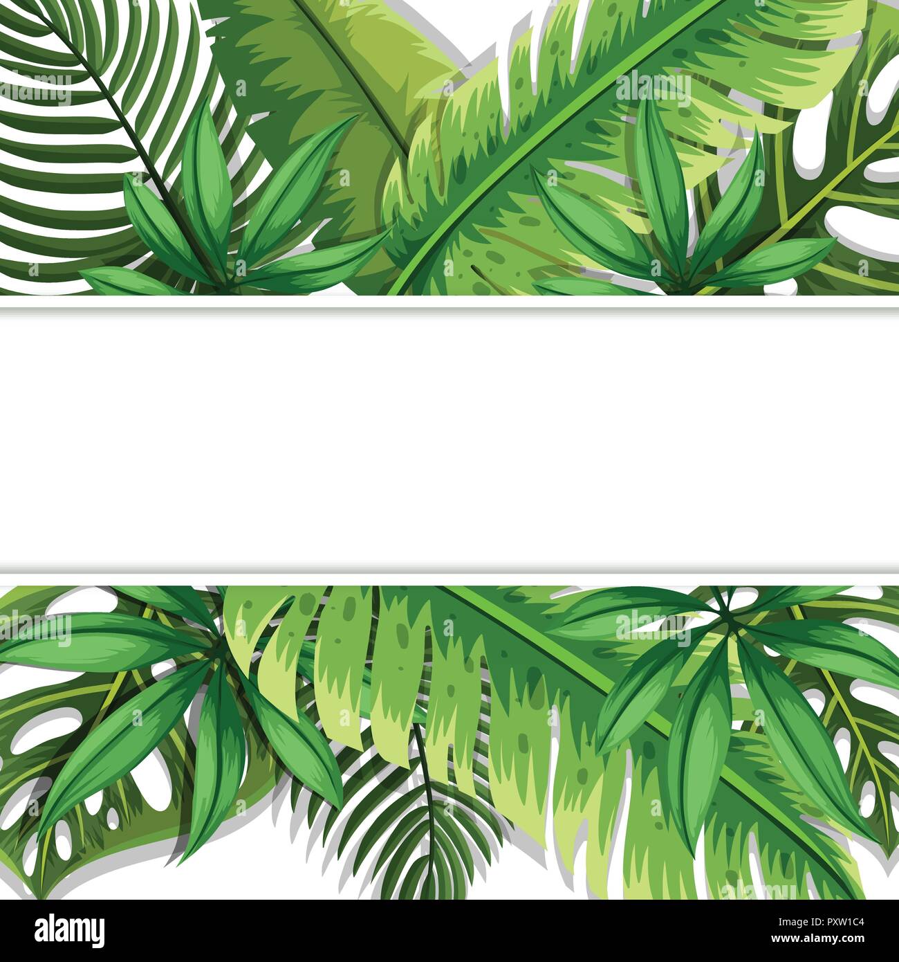 Banner design with green leaves in background illustration Stock Vector ...