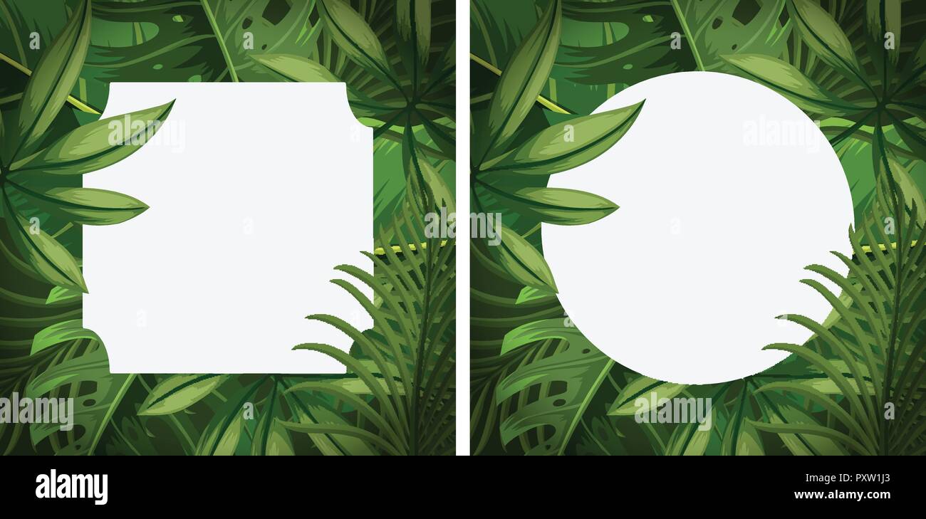 Two frames with green leaves illustration Stock Vector