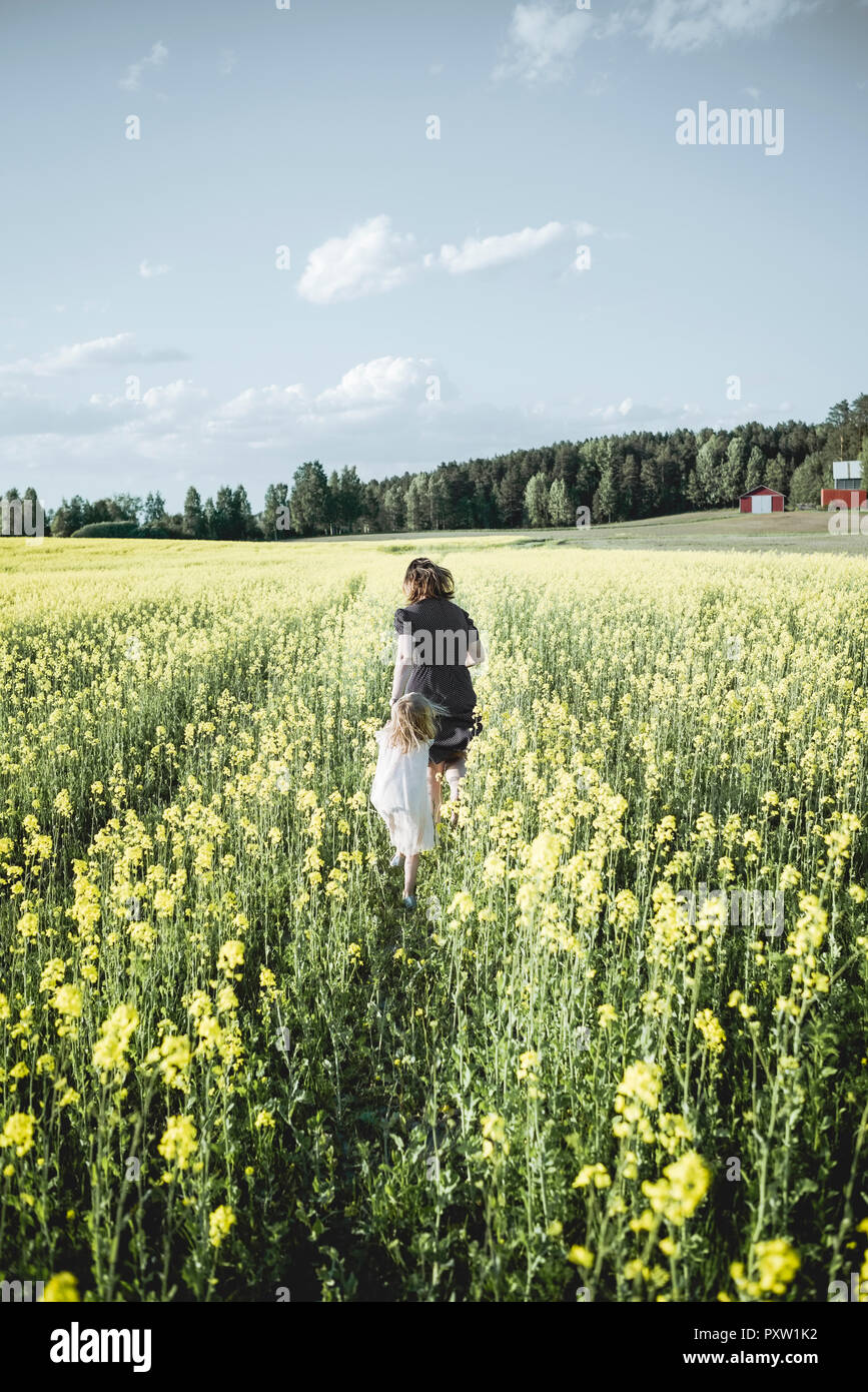 Back view of little girl walking with her mother in rape field Stock ...
