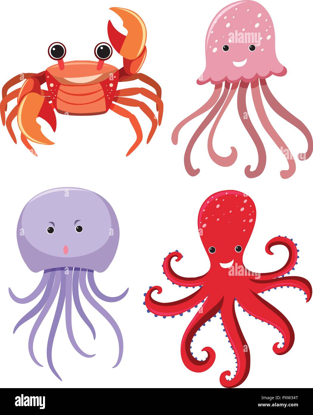 Four types of sea animals on white background illustration Stock Vector  Image & Art - Alamy