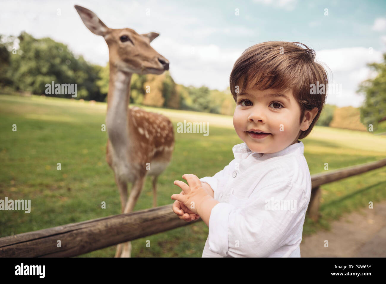 Portrait of happy toddler in a wild park with roe deer in the background Stock Photo