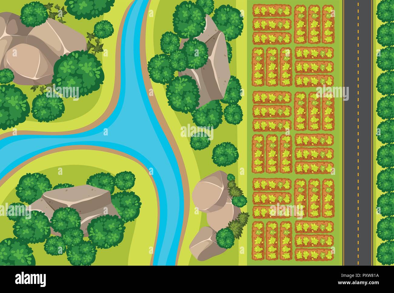 Aerial view of vegetable garden illustration Stock Vector Image & Art ...