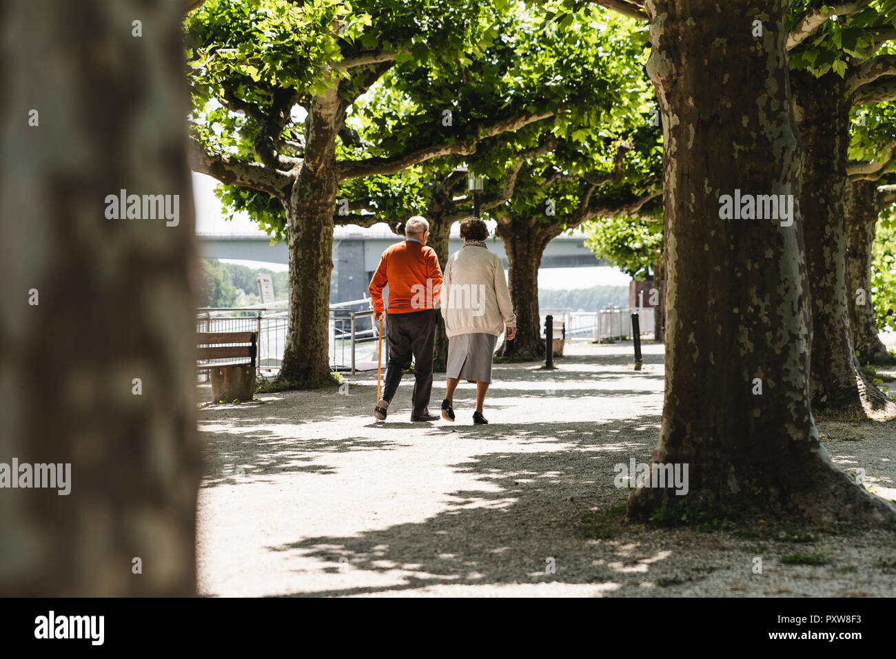 Couple park walking rear view hi-res stock photography and images - Alamy
