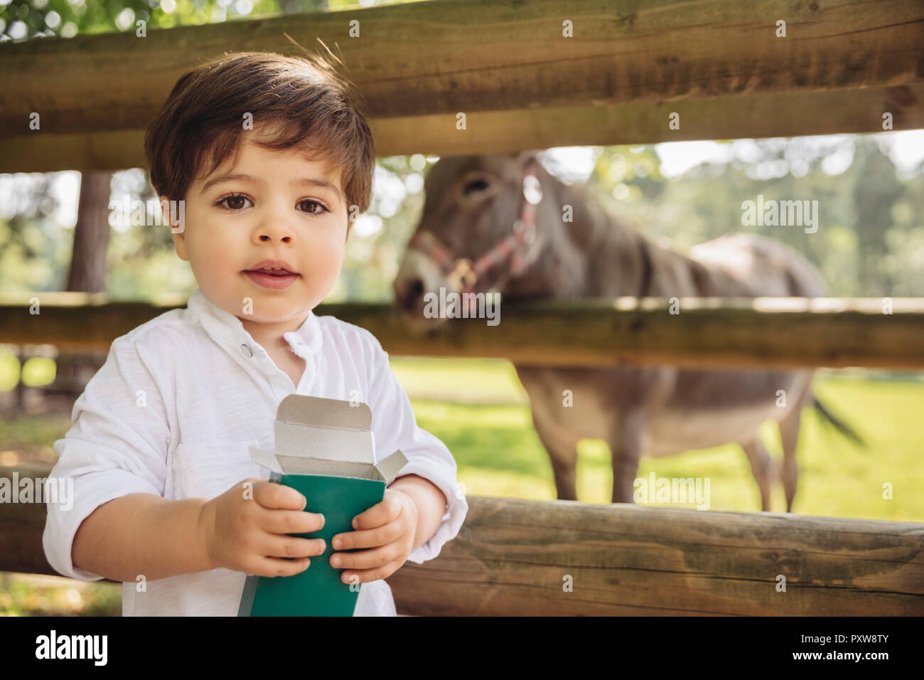 Portrait of toddler with box of animal food in wild park Stock Photo