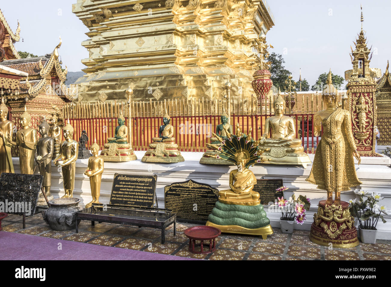 Wat Phra That Doi Suthep in Chiang Mai, Thailand Stock Photo - Alamy