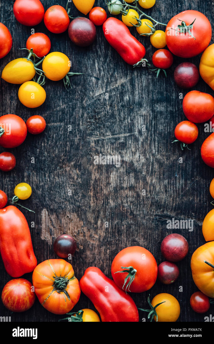 Different sorts of tomatos on woodden background, copy space Stock Photo