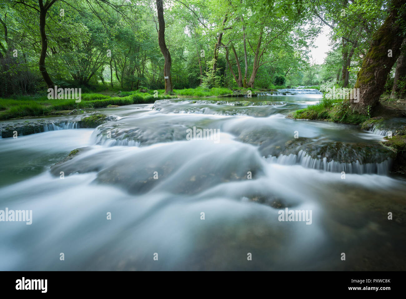 Very fast flowing river, waterfall over river stones and forest in the background Stock Photo