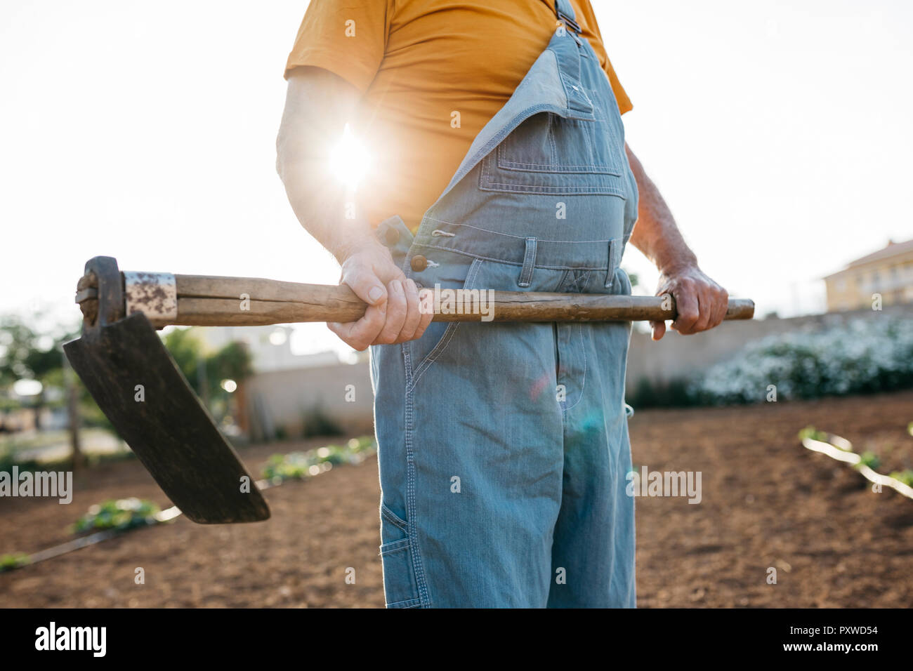 Senior man in denim holding shabby hoe tool and standing on cultivated land Stock Photo