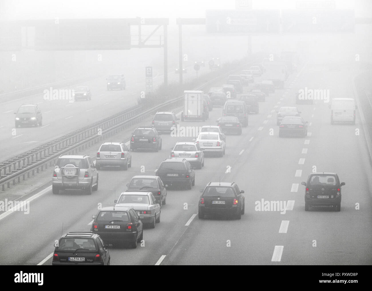 sie fahren außerorts bei dichtem nebel
