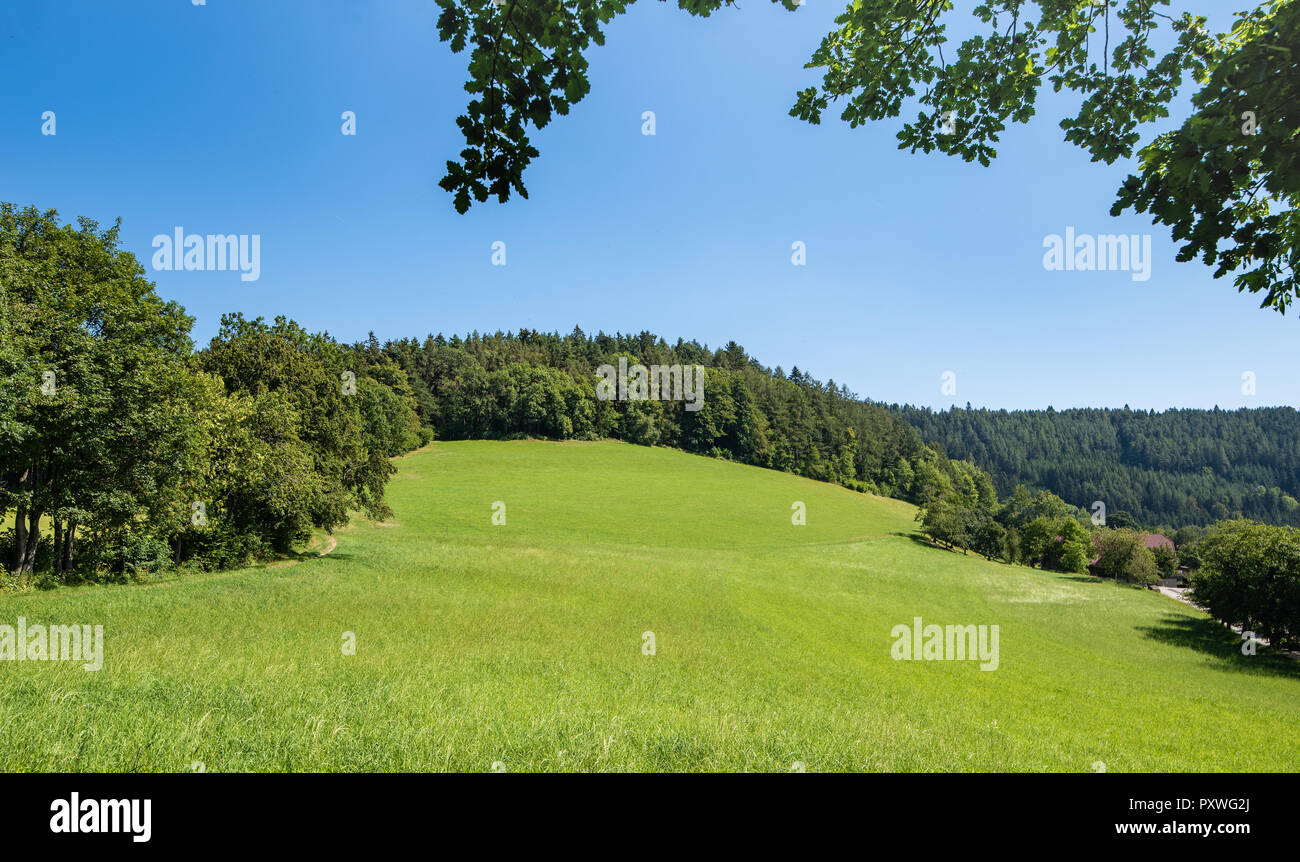 Color outdoor idyllic summer landscape with a road,farm,field,meadow,trees and forest under a clear blue bright sunny sky Stock Photo