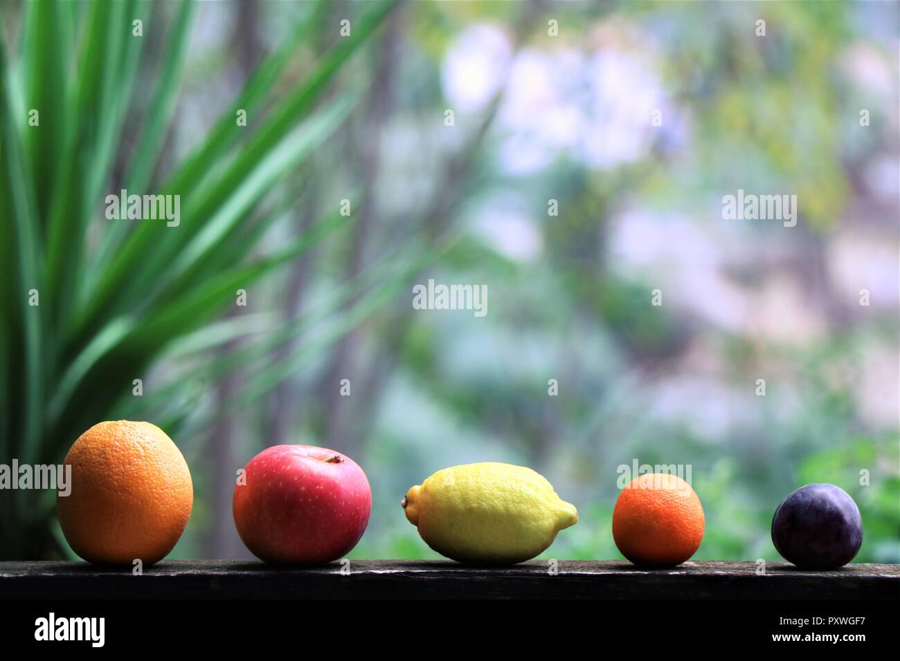 Variety of fresh seasonal fruit. Stock Photo