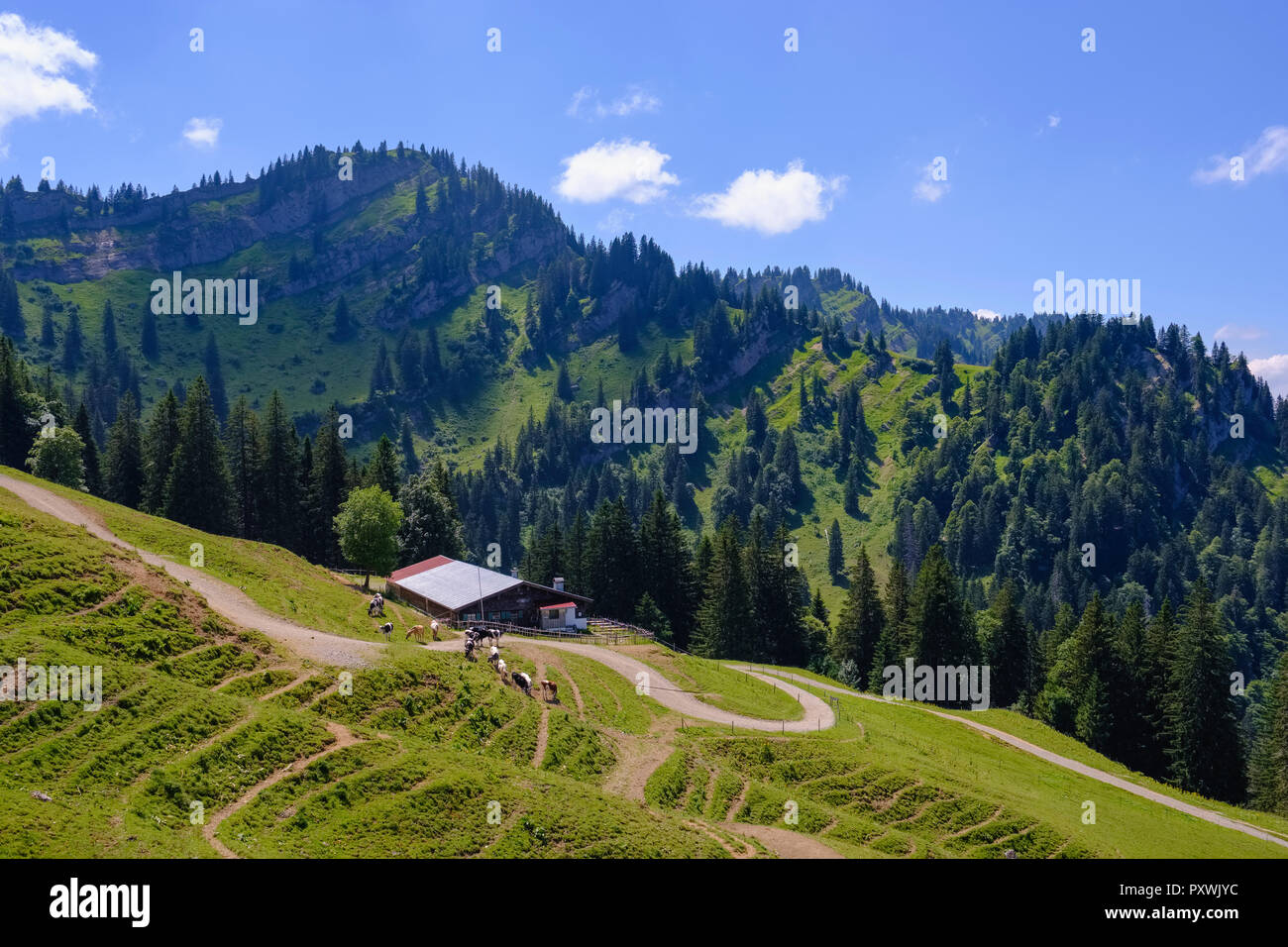Germany, Bavaria, Allgaeu, Oberallgaeu, Oberstaufen, Allgaeu Alps ...