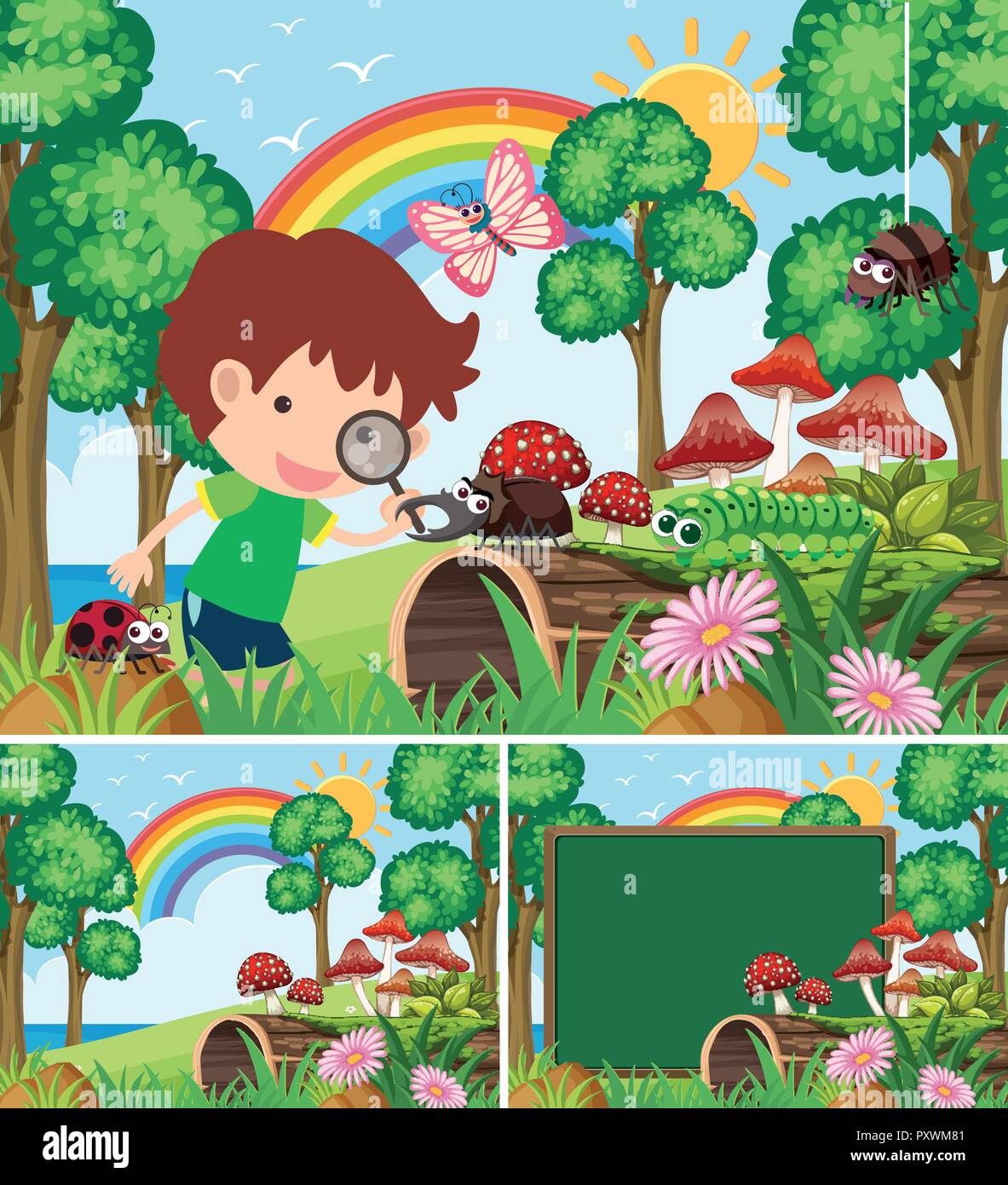 Scenes with boy looking at many insects in garden illustration Stock ...