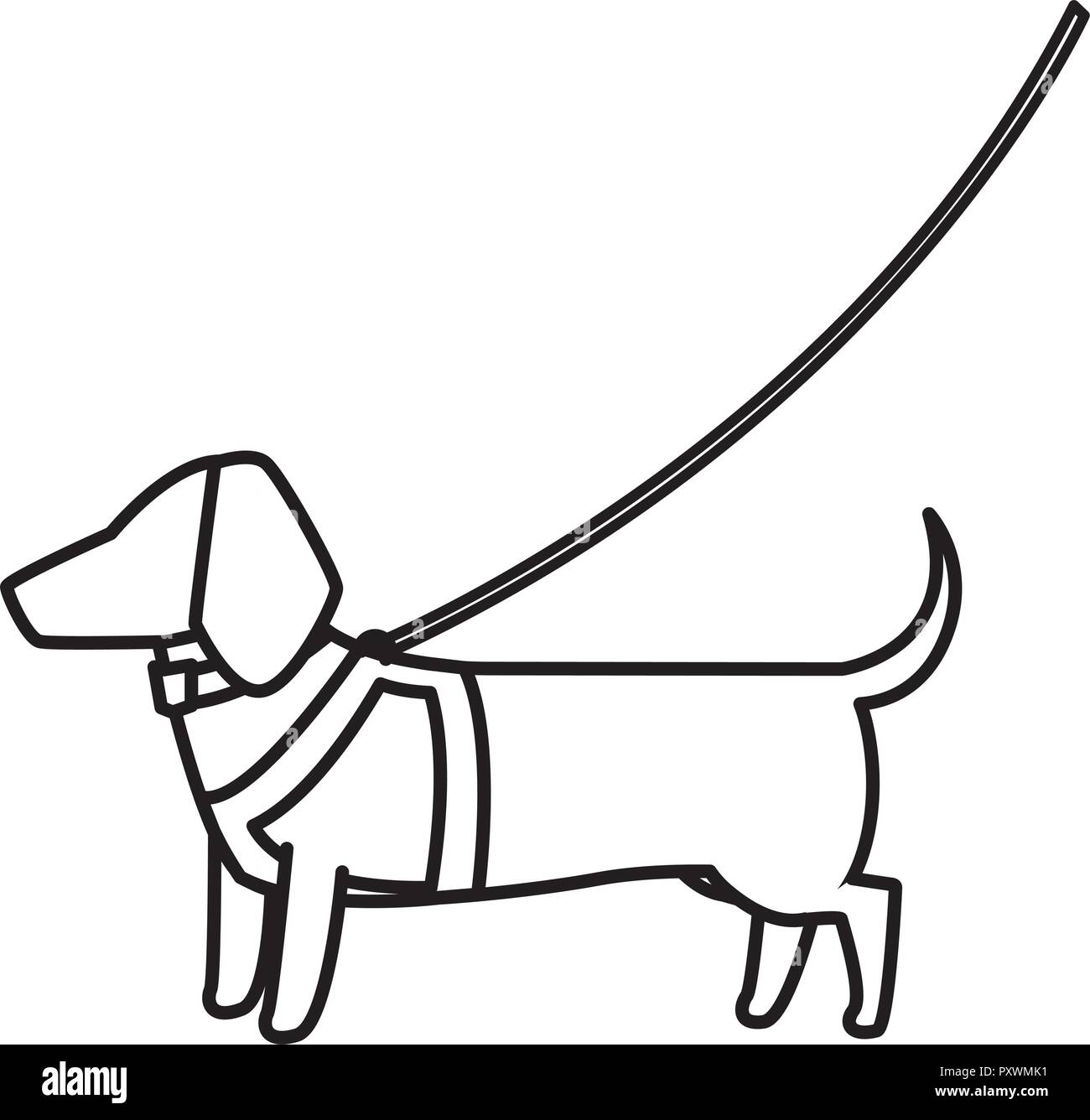 dog on a leash over white background, vector illustration Stock Vector