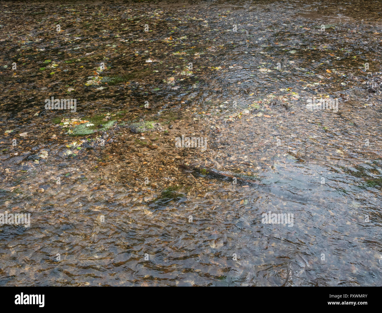 Shallow river revealing shingle river bed. Metaphor 'shallow waters